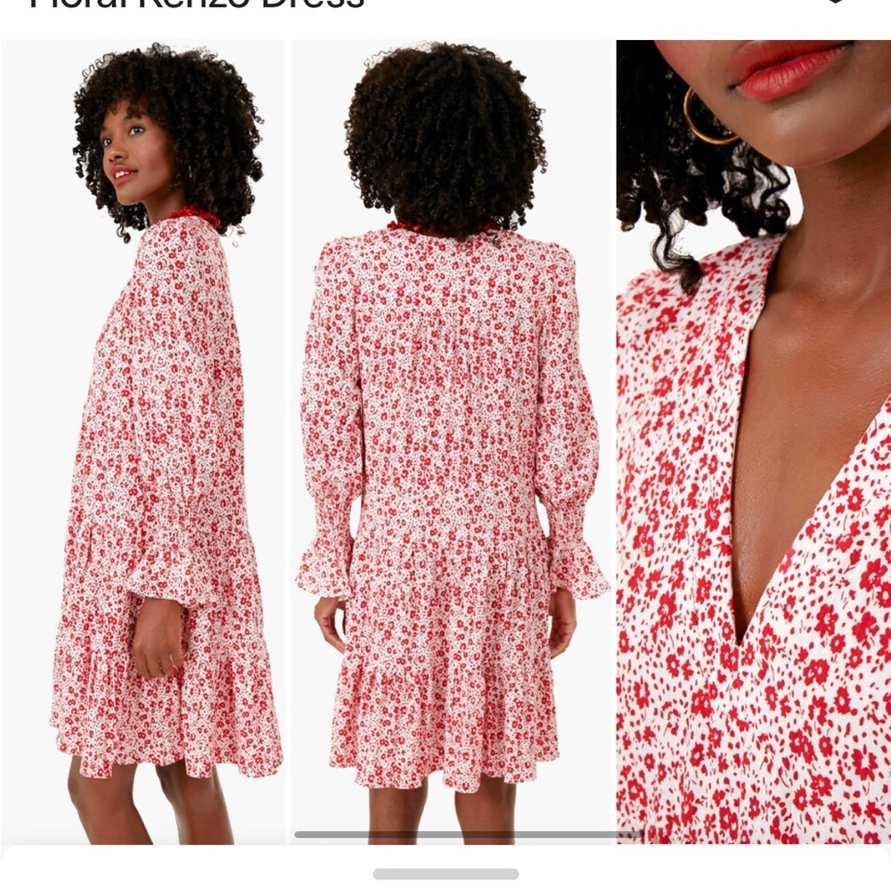 Tuckernuck Pomander Place Scarlet Ditsy Floral Kenzo Dress - Picture 2 of 6